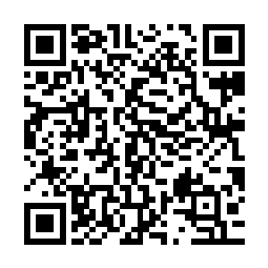 他们的责任也就是帮萧航解决一些没必要让萧航亲自动手的障碍二维码生成