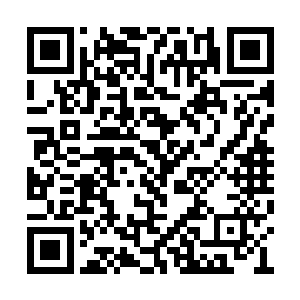 他们的资产还有银行的存款加在一起有十几个亿二维码生成