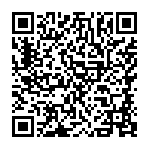 他们的身体就好比饱蘸了灵液的美味点心一样……肯定会成为那些道士的盘中餐二维码生成