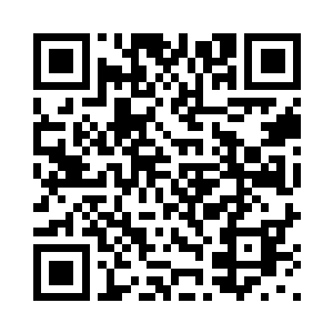 他们的身体都完美融入当前的环境二维码生成