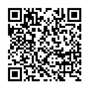 他们的首领亲自带领整个巫师组织占领了这个地方二维码生成