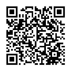 他们的首领因为公然使用武力跟阿拉基政府作对二维码生成