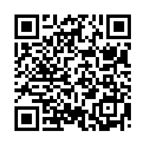 他们目光呆滞看着面前的这捆冰蓝树枝二维码生成