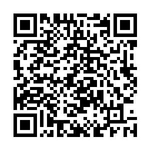 他们相信自己的女儿迟早有一天都会勇敢的走出这个家门的二维码生成