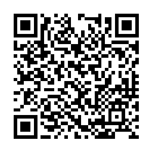 他们看到了似乎有绿色液体从床上的白布下面流出二维码生成