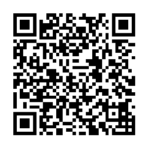 他们看到了夏天和天妖万霖之间的差距到底是多少二维码生成