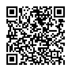 他们看到了数百人正在跟一群巨大的老鼠搏斗着二维码生成