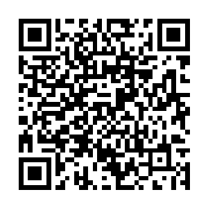 他们看到无数个小孩子在炙热的沙地上相互搏斗着二维码生成