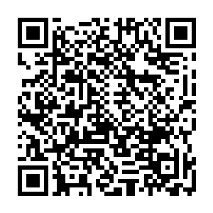 他们看着玄真派元婴期的修士将这些从仙农洞府外出来的修士轻而易举就堵截下二维码生成