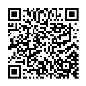 他们真以为那就只是仙界亿亿万万中再寻常不过的一片山岭二维码生成