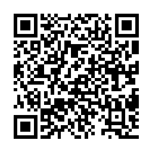 他们真是不知道燕山魂哪来的胆子敢一个人去面对一个混沌兽二维码生成