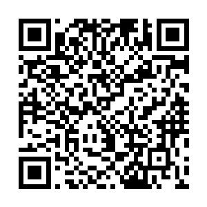 他们真觉得杨风那样的人物是咱们让做什么就能做什么的二维码生成