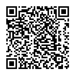 他们眼中软弱不堪的穷学生仅仅用了一拳就击毙了其中一个同伴李云二维码生成