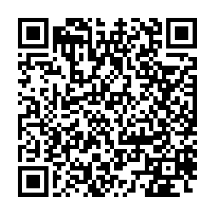 他们着急的原因就是因为他们担心和杨风还有杨天的差距不但的拉大二维码生成