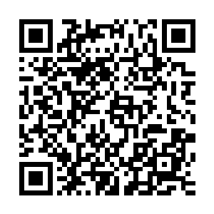 他们瞬间就明白了刚才枪哥和这个怪物发生了怎样惨烈的搏斗二维码生成