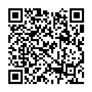 他们知道真正的危险才刚刚开始――万界王庭内部二维码生成