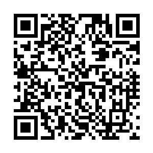 他们神阳族忍辱负重休养生息这么多年就白休养的了…二维码生成