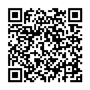 他们立刻开始为独角兽家族的这位继承人开始担心起来二维码生成