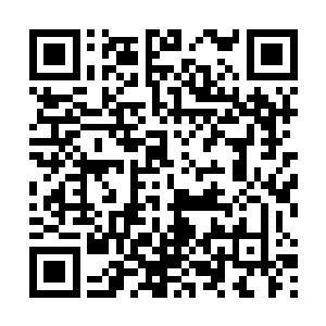 他们立马又接到来自另一个仓库异空间的异常能量波动二维码生成