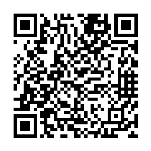 他们站在人群身后显然是想等众人与自己斗个两败俱伤之后二维码生成