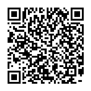 他们站在楼下围着那辆被砸烂的法拉利转了几圈啧啧叹息后便各自散去二维码生成