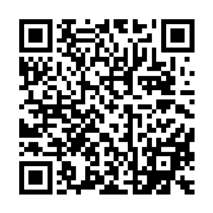 他们竟然将太古遗迹中流传出去的好几种基因武器都融合到一起二维码生成