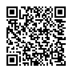他们第一次看到了那么光鲜那么高高在上的父母二维码生成