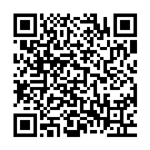 他们给了一个非常优惠的报价――这次我们欠了碎碎很大的人情二维码生成