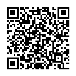 他们给她提供了一些神力用来缓解封神仪式初期最缺的消耗品二维码生成