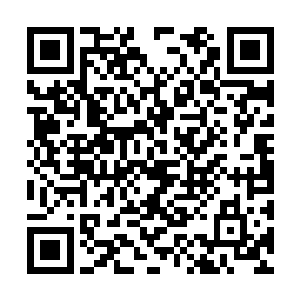 他们绝不会帮你去那些千万小世界里帮你维护平衡二维码生成