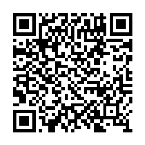 他们能不能说这个被他们变成厨娘的袭家二小姐二维码生成