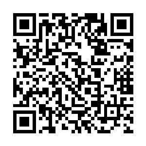 他们能够感受到这种不对劲的气氛就已经很不容易了二维码生成
