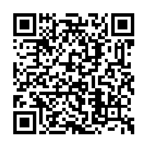 他们自己会从传承记忆中得到他们该知道的一切二维码生成