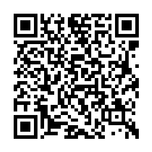 他们自然不会向许紫烟要求开放圣级一下的秘境二维码生成