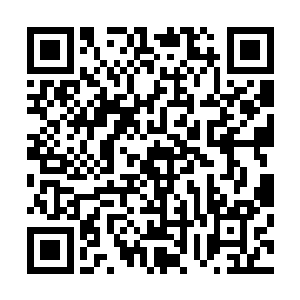 他们自然清楚这一次去觐见丁羽究竟是一个什么样子的结果二维码生成