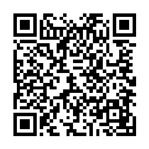 他们自然知道水无痕刚才其实一直躲在那片海域中观战二维码生成