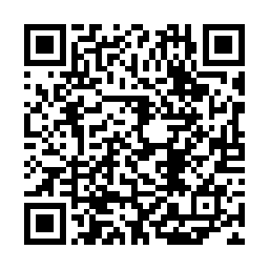 他们自认为已经具备了重新取得北江霸主地位的实力二维码生成