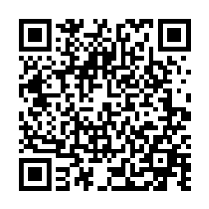 他们花费了很大的功夫才勉强将血液之中的大帝意志驱除二维码生成