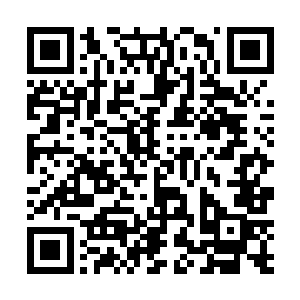 他们若是有不错的生存能力倒是可以去给无极星霸个位二维码生成