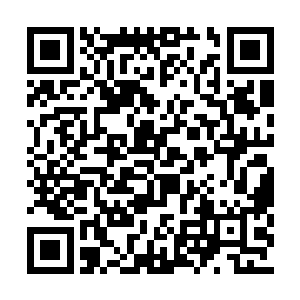 他们虽然不明白为何会有半神出现在这荒郊野外二维码生成