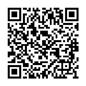 他们虽然想到了世界杀手大赛上面会有黑马出现二维码生成
