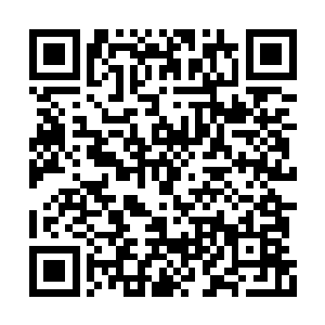 他们虽然都对秦方很有信心……毕竟这么久以来二维码生成