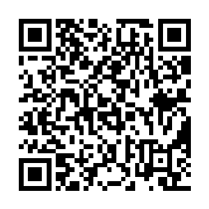 他们虽然都还看不出来唐昊和林烽之间会有合作的事情二维码生成