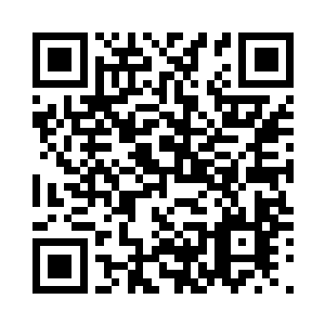 他们被长老带领着到了一处大殿之中二维码生成