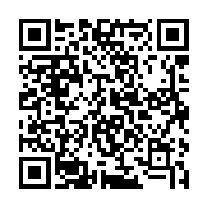 他们西夏这边再意思意思给点药材和医药费也就完了二维码生成