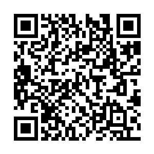 他们要在尽量短的时间内跑到相对安全的树林深处二维码生成