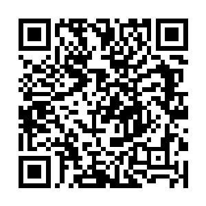 他们要抓的方言站在不远处的地方笑眯眯的看着他们二维码生成