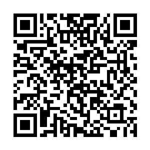 他们认为家族内部的竞争更加能够激出所有人的潜能二维码生成