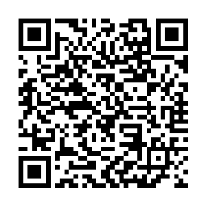 他们认为没有狼人守护的地方很快就会被吸血鬼侵扰二维码生成
