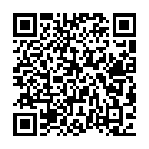 他们认为韩风这些外来的神王抢占了他们的资源二维码生成